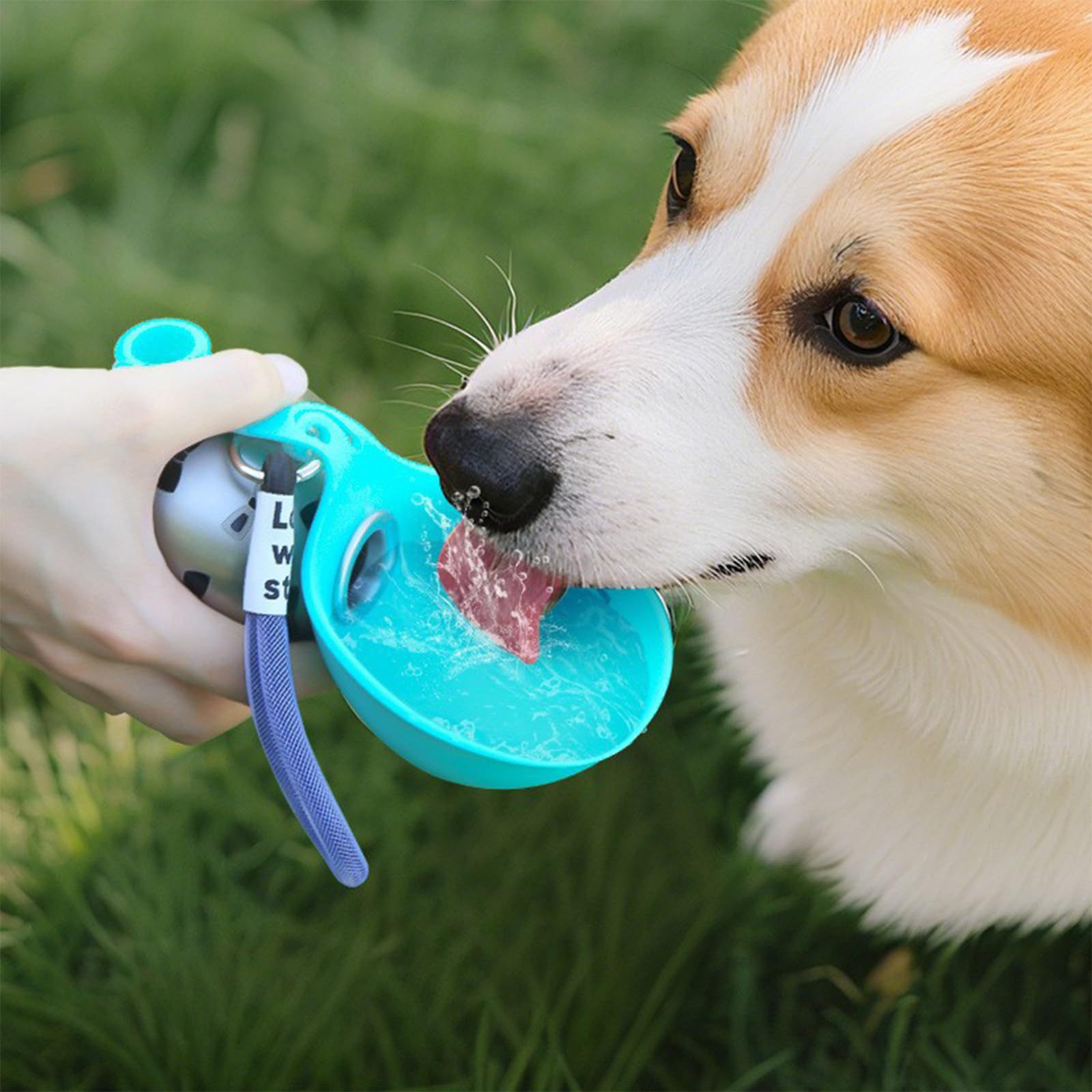Cute Silicone Water Bottle with Carabiner